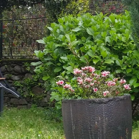 Apartmán Stresa B&B